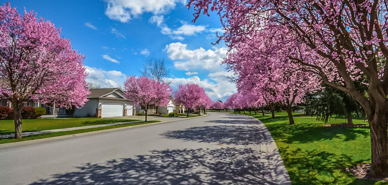 HOA Management and Real Estate Services in Charlotte, NC Henderson Properties