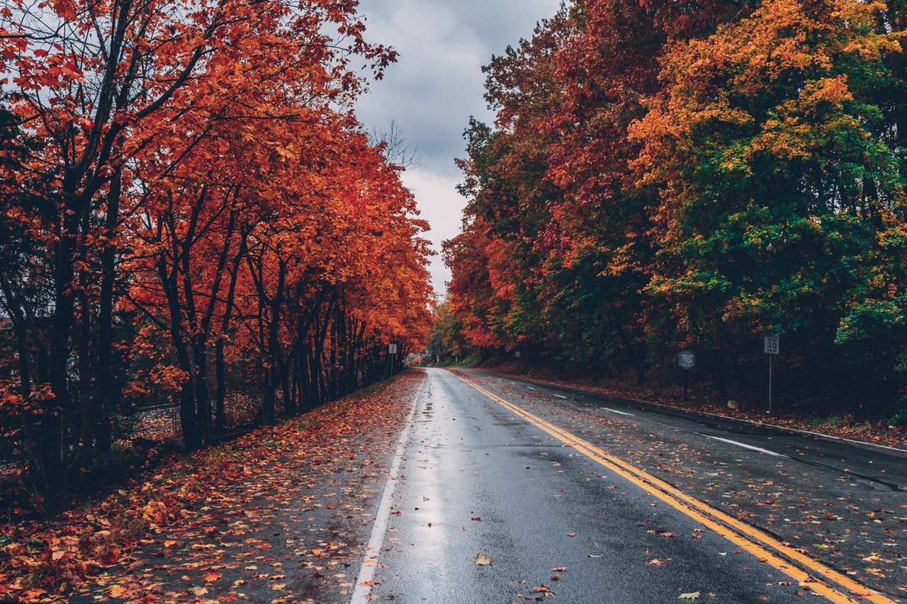 fall into winter