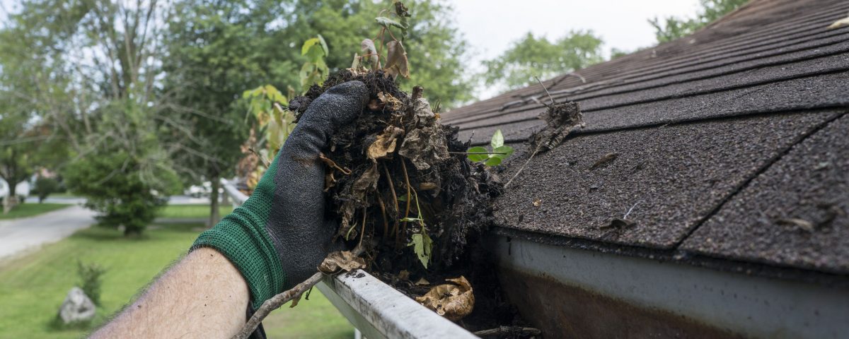 gutter cleaning services