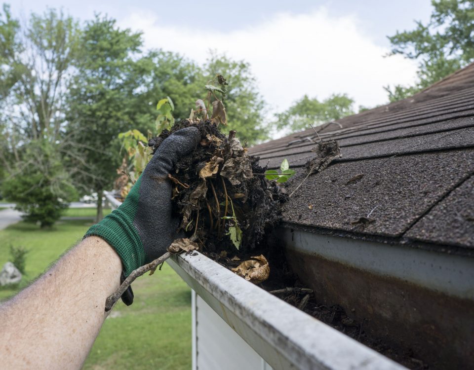 gutter cleaning services