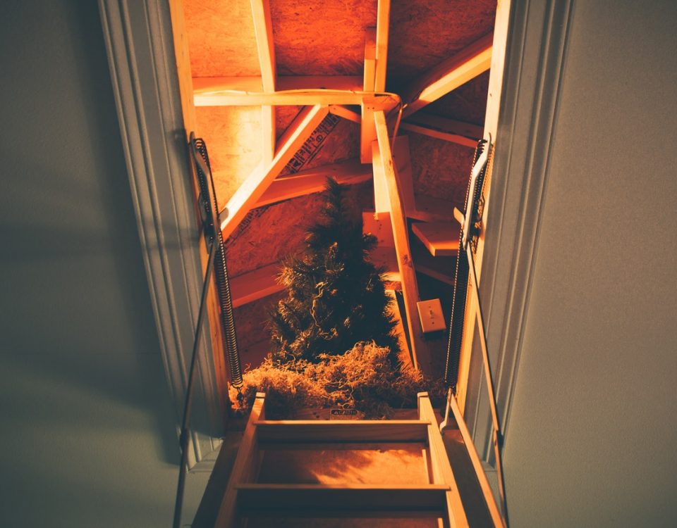 attic-renovation