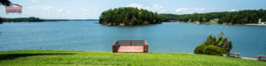 tega cay real estate