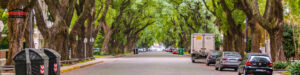 best neighborhoods in charlotte
