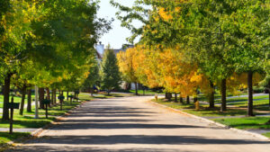 Myers Park home buying services