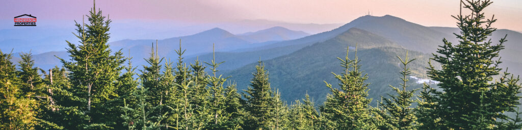 Real estate investing near Charlotte