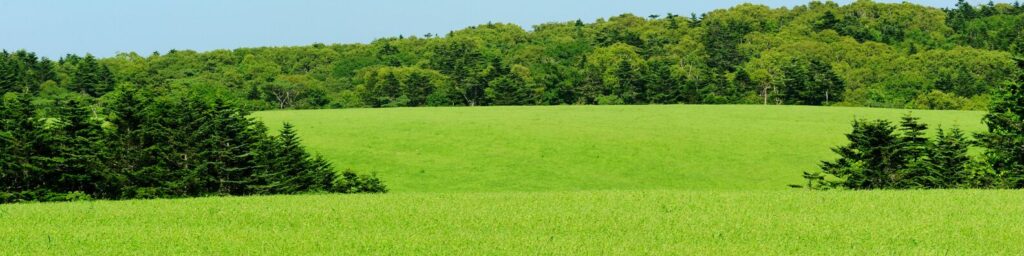 buy land near charlotte