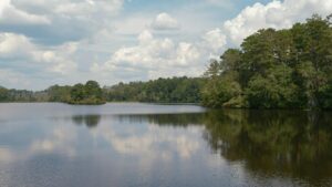 Best Property Management in Kings Mountain, NC