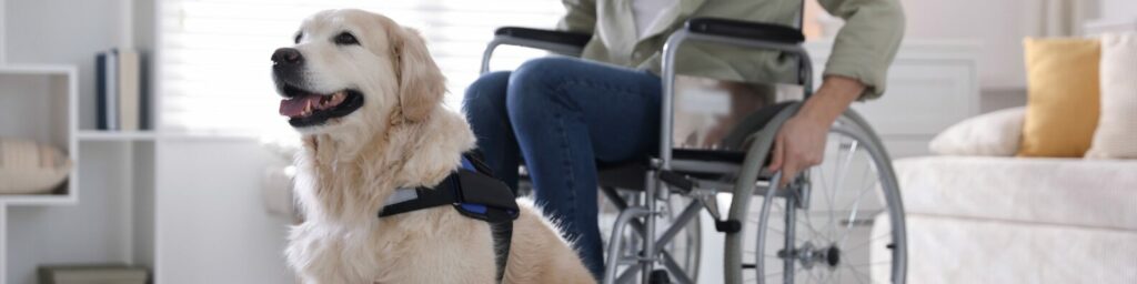 fair housing act service animals rentals